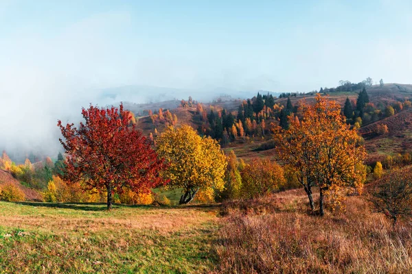 Erstaunliche Szene auf den herbstlichen Bergen — Stockfoto