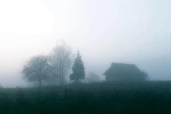 Alleen huis op mistige weide — Stockfoto