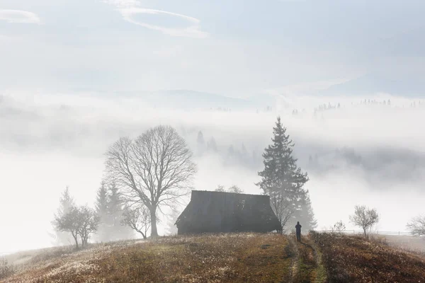 Alone house on foggy meadow
