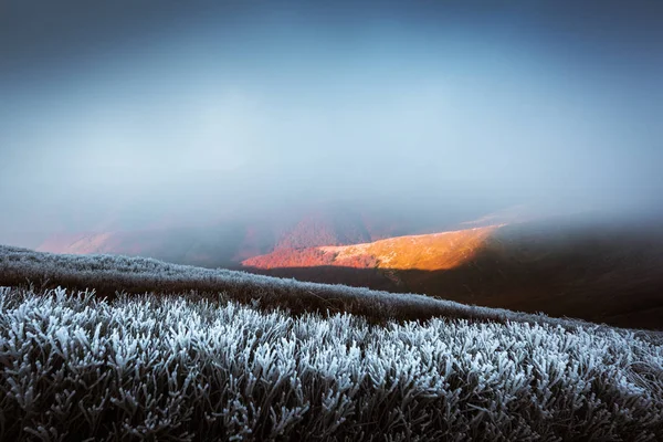 Fantastic autumn landscape with frost — Stock Photo, Image