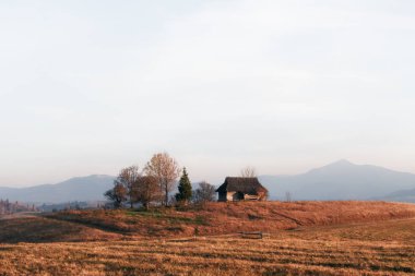 Dağ Vadisi gündoğumu sırasında. Sisli sonbahar çayır yalnız müesseseden. Karpat Dağları, manzara fotoğrafçılığı