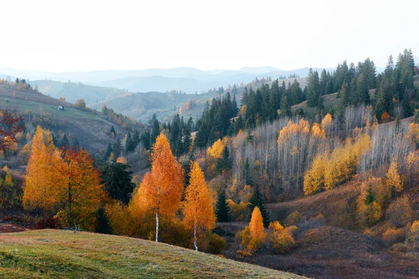 Amazing scene on autumn mountains — Stock Photo, Image