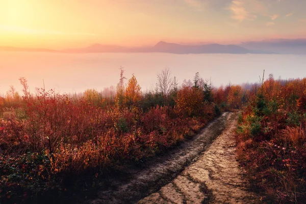 秋山上的奇景 — 图库照片