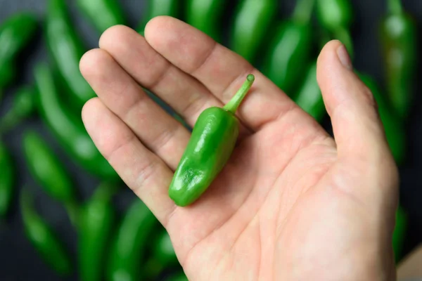 Groene jalapeno peper in hand closeup — Stockfoto