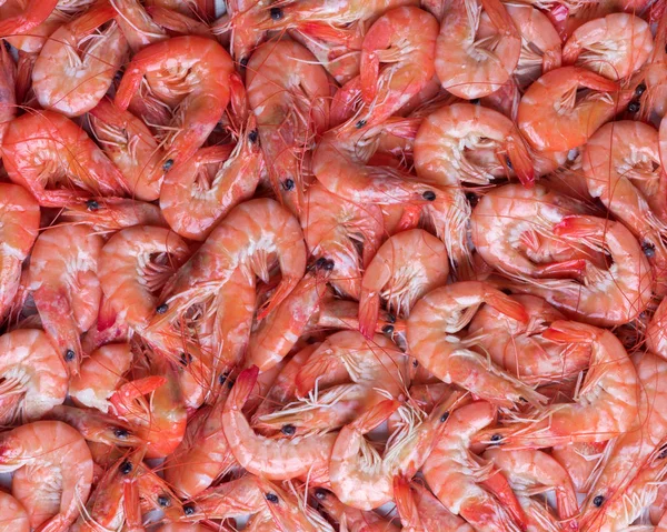 Big boiled shrimps close up — Stock Photo, Image
