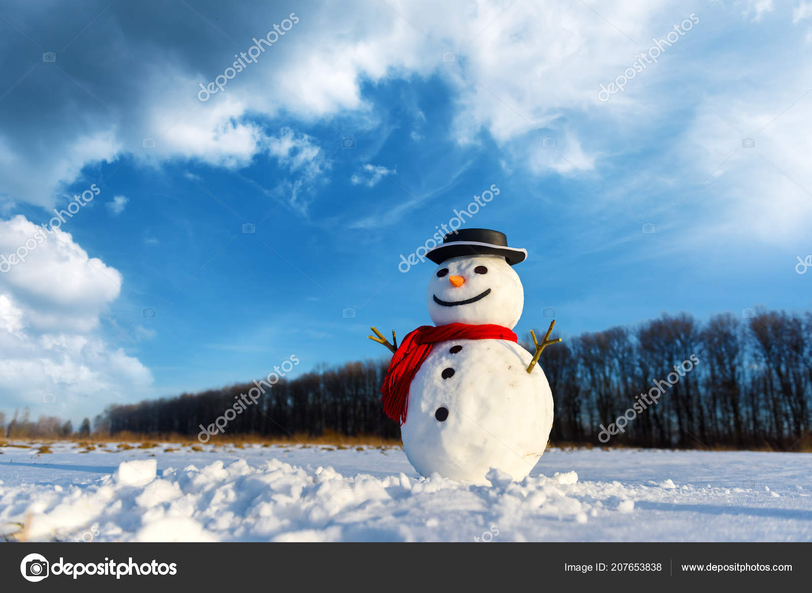 Bonhomme De Neige Drôle Avec Chapeau Noir Photographie