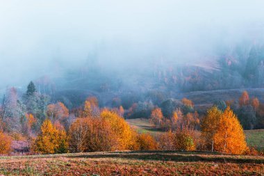 Sonbahar dağlarında inanılmaz bir manzara