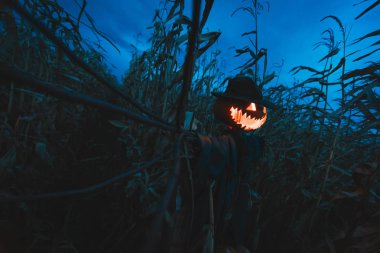 Şapkalı bir korkutucu Kabak korkuluk