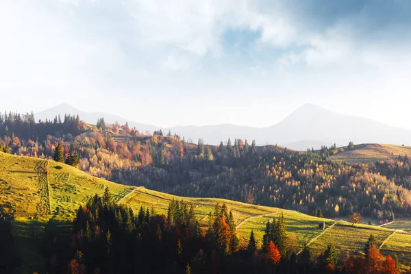 Erstaunliche Szene Auf Den Herbstlichen Bergen Gelbe Und Orangefarbene Bäume — Stockfoto