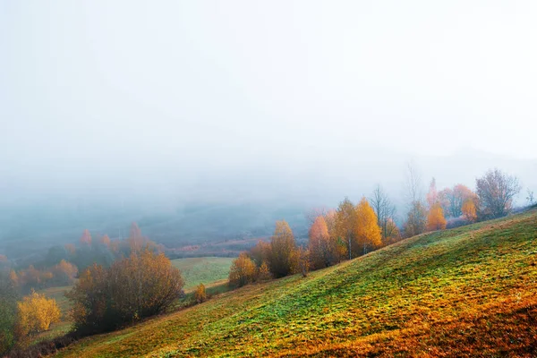 Verbazingwekkende scène op de herfst bergen — Stockfoto