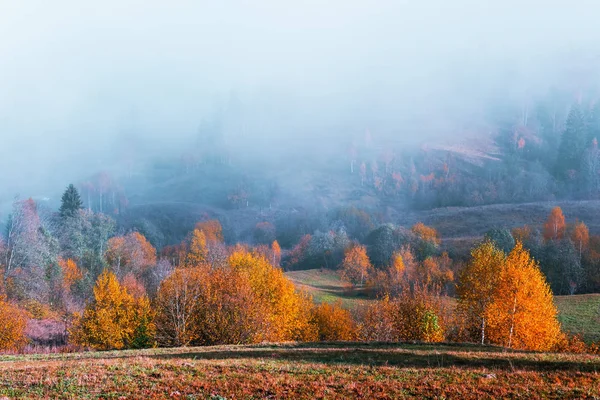 Verbazingwekkende scène op de herfst bergen — Stockfoto