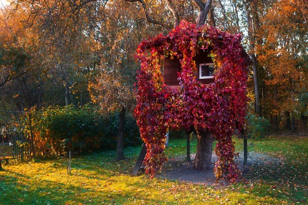 Ett hus på ett träd — Stockfoto