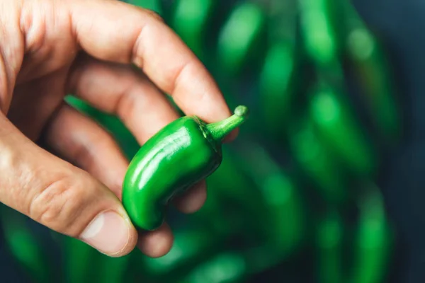 Groene jalapeno peper in hand closeup — Stockfoto