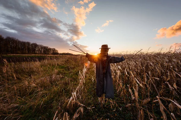 Scary scarecrow in a hat — Stock Photo, Image