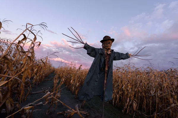 Épouvantail effrayant dans un chapeau — Photo