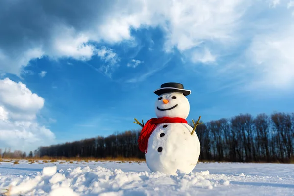 Muñeco de nieve divertido en sombrero negro — Foto de Stock