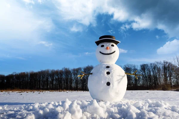 Rolig snögubbe i svart hatt — Stockfoto