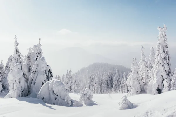 幻想的な冬の風景 — ストック写真