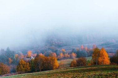 Sonbahar dağlarında inanılmaz bir manzara
