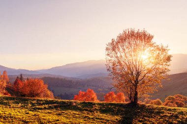 Sonbahar dağlarında inanılmaz bir manzara