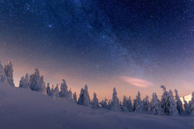 Karlı ağaçlı kış manzarası