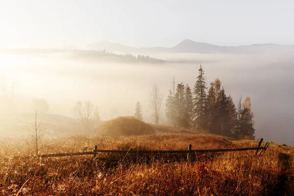 Verbazingwekkende scène op de herfst bergen — Stockfoto