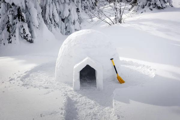 Πραγματικό σπίτι ιγκλού χιόνι το χειμώνα Καρπάθια βουνά — Φωτογραφία Αρχείου