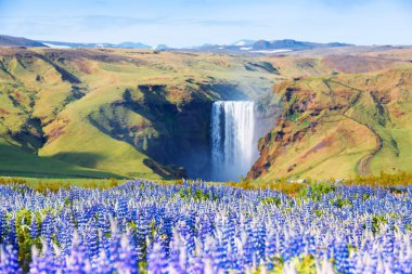 Ünlü Skogafoss şelale