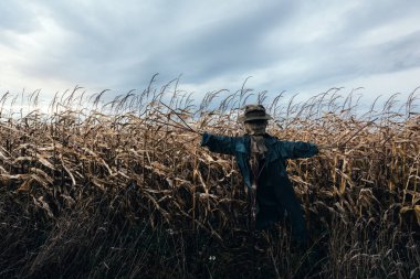 Şapkalı korkunç korkuluk.