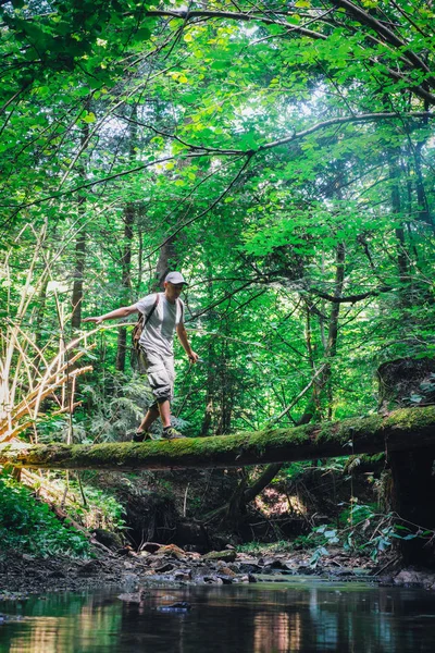 Vahşi ormanda yalnız adam — Stok fotoğraf