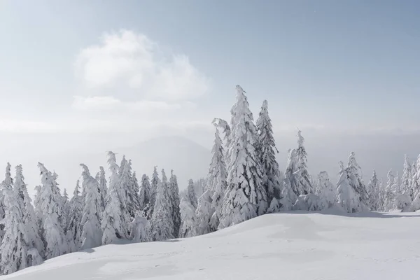 Fantastico paesaggio invernale — Foto Stock