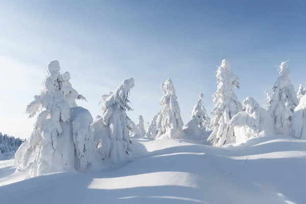 美丽的冬季风景 — 图库照片