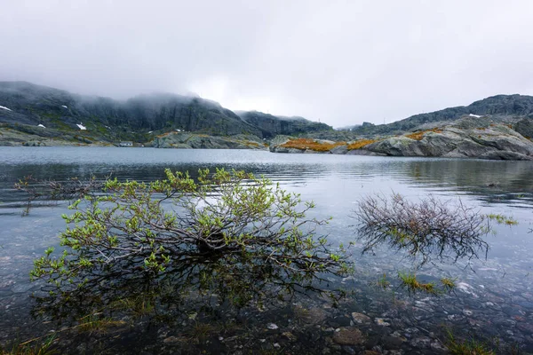 Typická norská krajina s jasnou jezero — Stock fotografie
