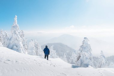 Bir sırt çantası ile yalnız turist
