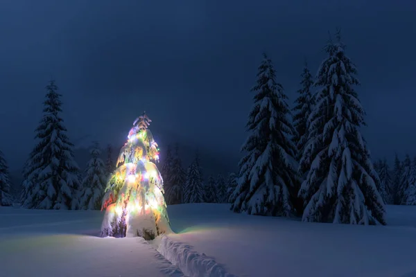 Kerstboom met lichtjes — Stockfoto