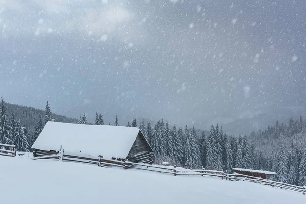 雪の家と幻想的な風景 — ストック写真