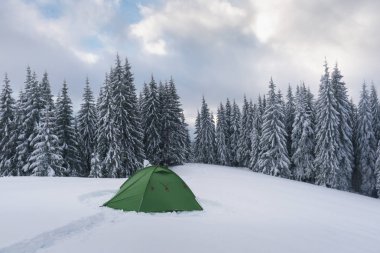 Kış dağlar yeşil çadırda