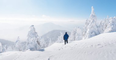 Bir sırt çantası ile yalnız turist