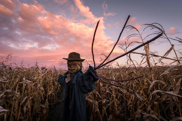 Scary scarecrow in a hat — Stock Photo, Image