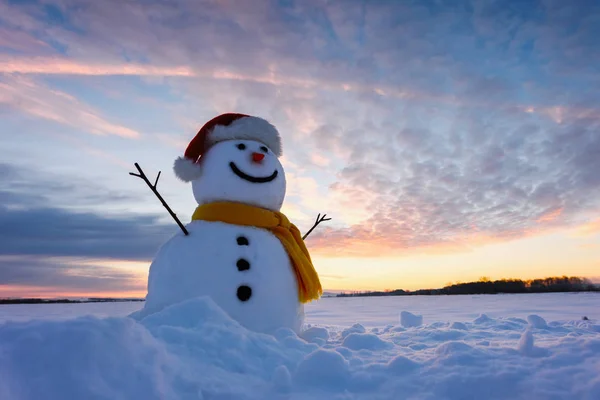 Grappige sneeuwpop in kerstmuts — Stockfoto