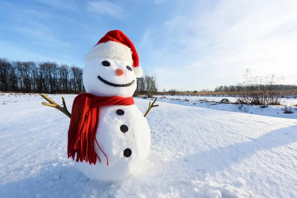 Muñeco de nieve divertido en sombrero rojo — Foto de Stock