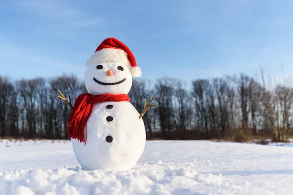 戴着红帽子的雪人真有趣 — 图库照片