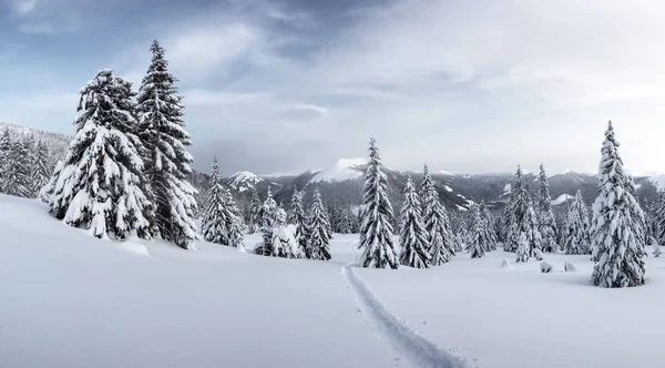 Muhteşem kış manzarası