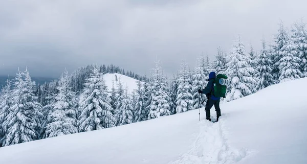 Bir sırt çantası ile yalnız turist — Stok fotoğraf