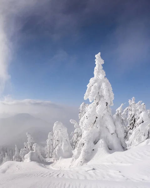 Fantástica paisagem de inverno — Fotografia de Stock