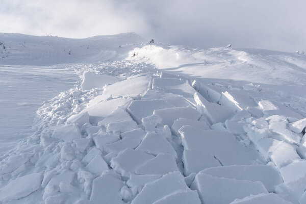 Snow avalanche in winter mountains