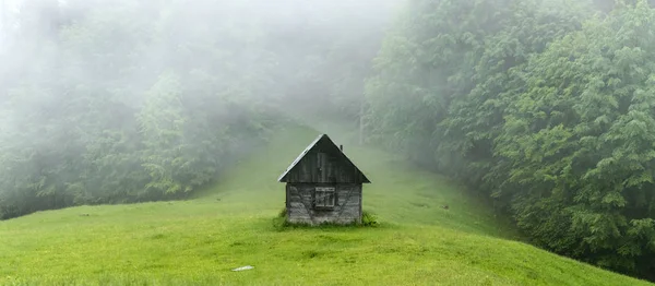 Cabine sozinho na floresta — Fotografia de Stock