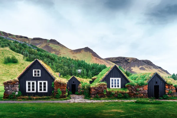 Tradiční domy s trávou na střeše — Stock fotografie