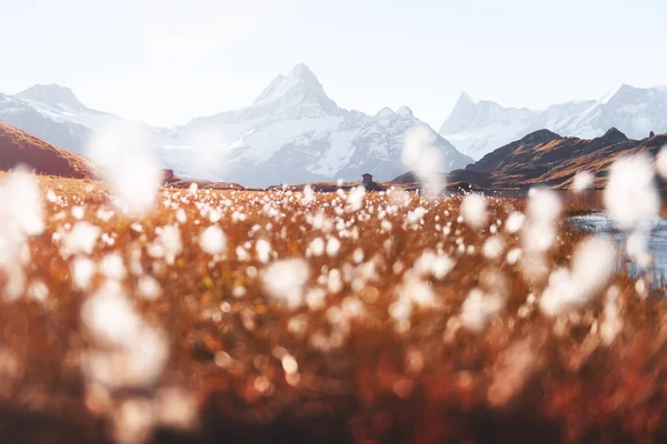 Schilderachtig uitzicht op het meer van Bachalpsee in de Zwitserse Alpen — Stockfoto