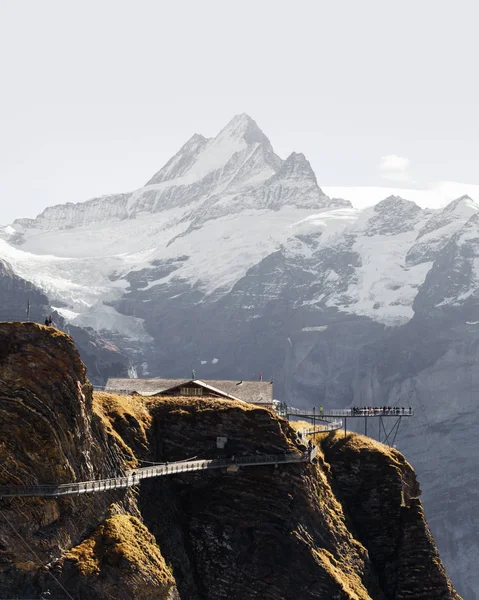 Ponto de vista extremo no topo do Grindelwald First cableway — Fotografia de Stock